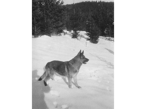 Foto 14
